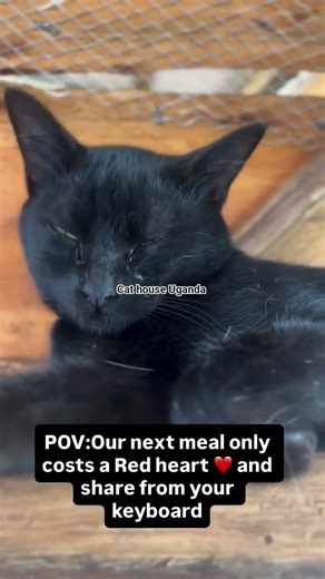 My engagement is really low, a single kind random words and share could help push this video more...