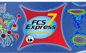DeNovo FCS Express 7数据拟合之细胞周期(PI)