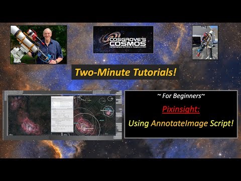 2-Minute Tutorial: Using the AnnotateImage Script!