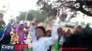 3.3K views · 127 reactions | When she call and say nobody at home  Tag at least one  | Copy cat | Facebook