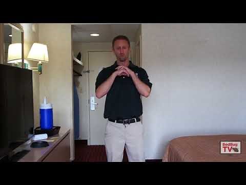 Prepping for Bed Bug Treatment