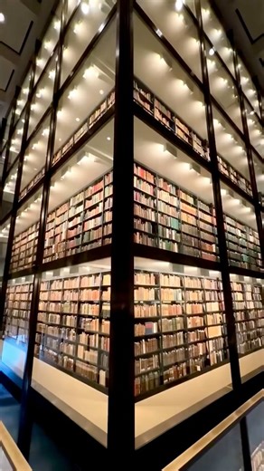 This library was so stunning it nocked the wind out of me!