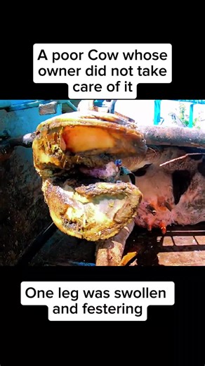 💚💚💚💚#satisfying #clean #fyp #cow