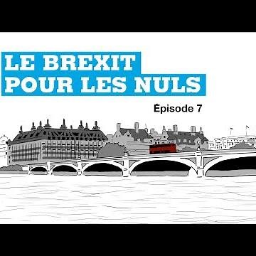Brexit for Dummies, Episode 7: What will the consequences of Brexit be for Europe?