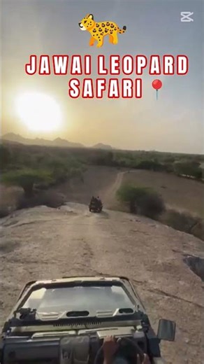 jawai leopard safari 🐆📍 #jawaisafari #jawaibandh #leopard #leopardsafari #trending #viralreels