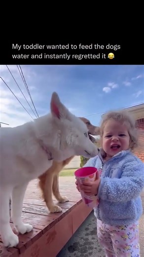 Ewwwww 😂 #viral #trending #funny #comedy #memes #shorts