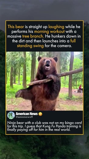 THE FOREST HAS A NINJA