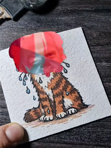 A creative CapCut green screen meme template where a cat sketch/drawing magically transforms into the user’s own photo — perfect for before-and-after reveals, surprise transitions, art to reality memes, and photo transformation edits that grab attention fast. CapCut offers powerful AI photo animation and cartoon-style tools that let you animate still artwork into dynamic visuals and smoothly morph into your real photo in a style-switching sequence. Use this template in CapCut by placing your pho