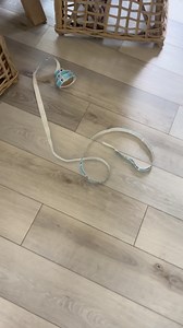 Woke up to find someone 🐈🐈‍⬛ had a bit of a party last night. #cats #catlife #officespace #officesupplies #party | Bryan Martin