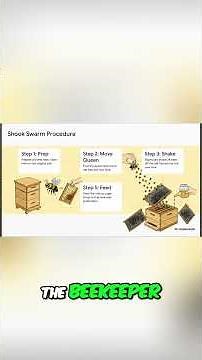 Beehive Secrets Shook Swarm Method Explained!