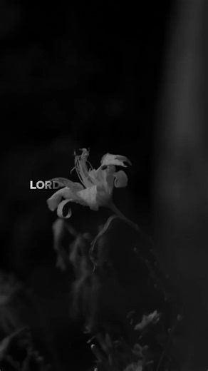 Uplifting Gospel Songs for Worship and Praise