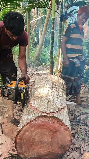 **"Chainsaw Safety 101: 5 Deadly Mistakes to Avoid (Life-Saving Tips!)"** #shorts #powertools #life