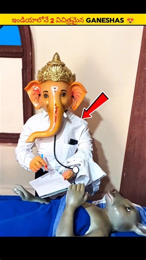 Top 2 Amazing Ganesha Idols 😍| #shorts