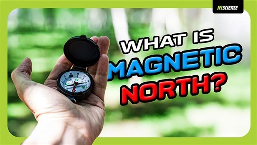 What Is The Magnetic North Pole?
