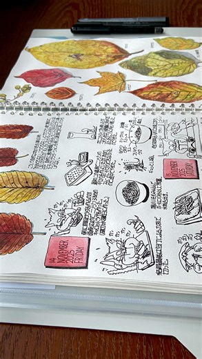 11K views · 81 reactions | ・ Sketchbook tour 2025 年が明ける前に2025年の絵日記の振り返り #絵日記 #イラスト #スケッチブック #sketchbooktour #journal | Yokoyama Goro | Facebook