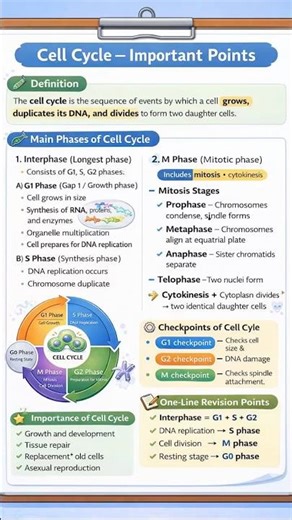 Cell cycle… cell and molecular biology
