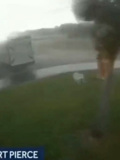 TOP 5 TYPHOON🗿 #typhoon #meme #fyp