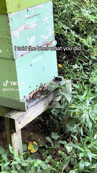 Understanding Honeybee Behavior in Nature