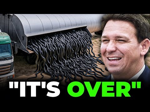 Florida Was Mocked For Releasing HUNDREDS of Rare Snake Killers. The Result Changed Their Minds
