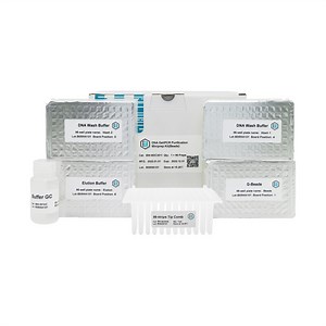 [Hot Item] PCR Products Gel Purification Kits 96 Throughput DNA Extraction Kit