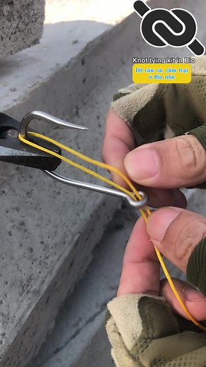 KNOT SHORT trên TikTok