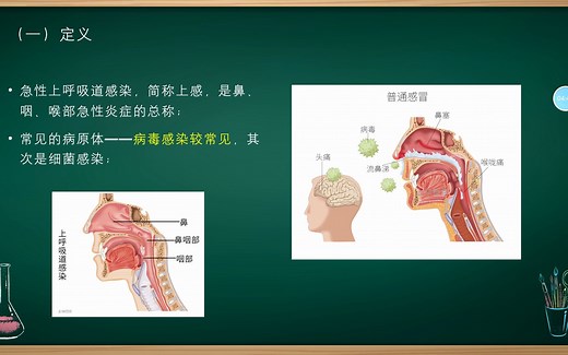 呼吸系统——急性上呼吸道感染