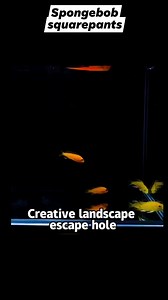 1K views | Spongebob squarepants mini character accessories for aquarium #fypシ゚viralシ #fbviralreels #viralreels #videoviralreels #fbvideoviral #fbviral #fbviralvideo #coloredtetra #tankdecor #tankaccesories #spongebob | All about pets | Facebook