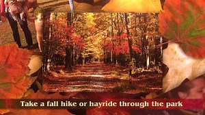 10K views · 52 reactions | Come out to the Caledon Art and Wine Festival Nov. 4 and 5 | Virginia State Parks | Facebook