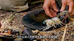 荒野求生