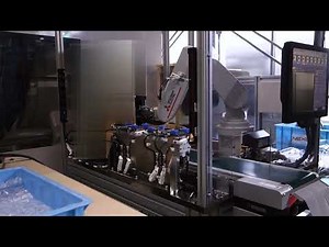 自社制作 カメラによる自動検査装置