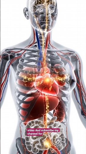 How Food Is Digested Inside the Human Body | AI Medical Visualization