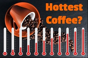 What Coffee Maker Makes the Hottest Coffee? (Best & Worst)