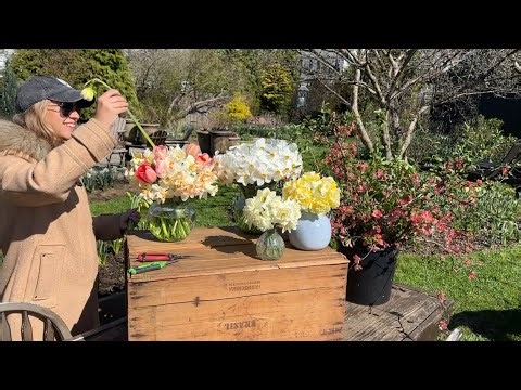 Set Up the Flower Stand for Easter with Me!! Dry Storing Daffodils, Selling Spring Bouquets Roadside