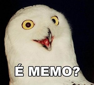 [Image - 202645] | O RLY?