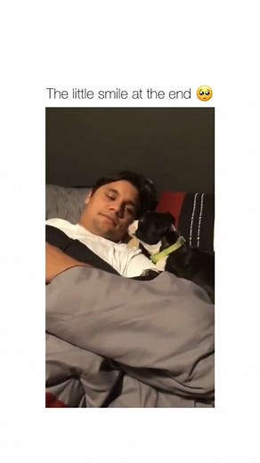 Cute Dogs on TikTok