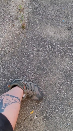 Bug Check FAIL On This Walk-Through! I Get Flea'd! #realestate #cat #kitten #home #cleveland #Ohio #investment #investmentproperty #urban #fleas #bugs #dirty #renovation #rehab | Property Recovery Agent