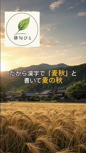 【麦秋】夏なのに「秋」？知ると面白い季語の話🌾 #575 #俳句 #二十四節気