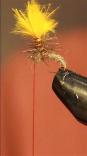 My first Parachute Emerger fly pattern #shorts