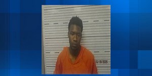 2 children shot in Wilcox County, teen arrested