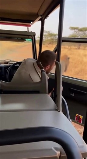 1.2M views · 7K reactions | Cub Touch Gone Wrong 女 Tourist ignores warnings and touches a lion cub — then the father lion erupts with a terrifying roar and charges! This is why wild animals should NEVER be underestimated  #lionattack #wildanimals #safarilife #reeltrend #shortsvideo #dangerousanimals | Kiran Wakade | Facebook