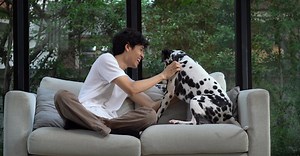 Video by Bethany Ferr on Pexels