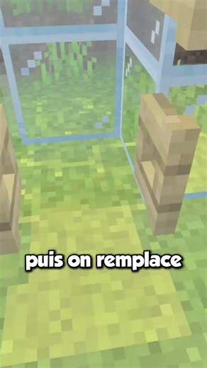 A SECRET MINECRAFT SURVIVAL TIP! 👀