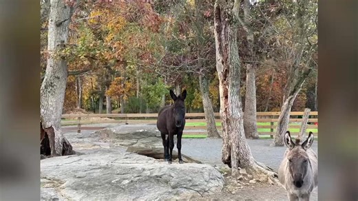 6.9K views · 288 reactions | Celebrating our 10 year anniversary...