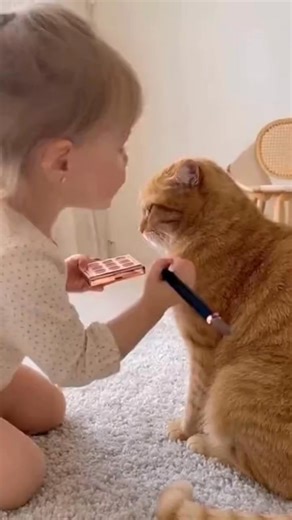 Kitty makeover 😍 | Meow flix