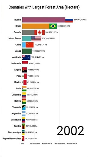 Top 20 Countries By Forest Area #geography #countries #mapping