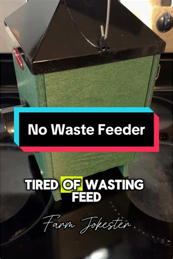 No waste feeder #hen #rooster #m#chickens #comedy #dadjokes #farmjokester #nameyellingchicken #namescreamingchicken #michaelsalerno