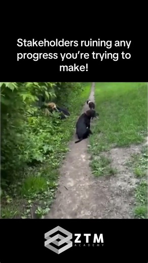 Stakeholders be like...