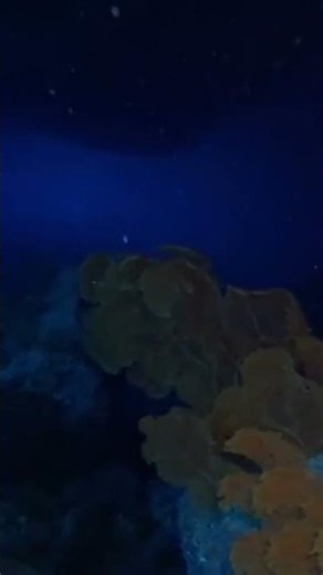 7 Sea Monsters That Could Actually Exist Right Now | Part 1 #shorts