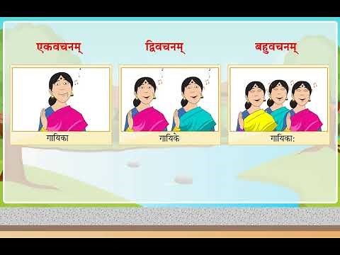 स्त्रीलिंग शब्दाः | Use of Striling Shabd with Vachan | Sanskrit Grammar |