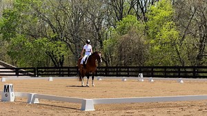 First show of the season | Willow. Hand